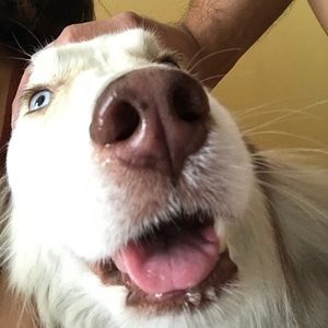 Meet your Posher, Brianna